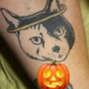 Meet your Posher, Susan f